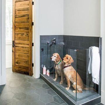 modify your home for your pets